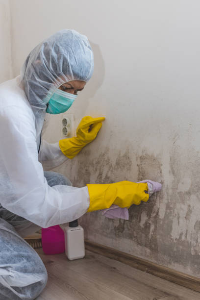 Best Forensic Mold Investigation  in River Road, WA