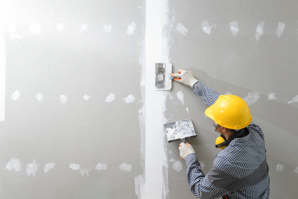 Dehumidification Services in River Road, WA